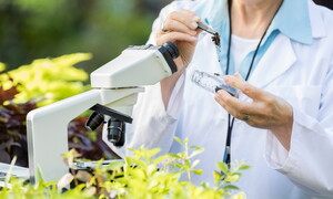 Our integrated Model