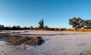 I nostri interventi ambientali a Ferrara