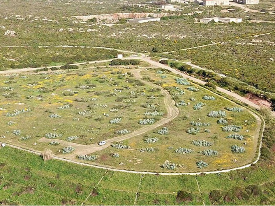 I nostri interventi ambientali a Sa Canna.