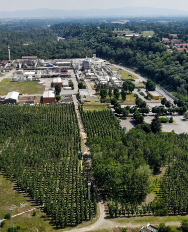 La Phytoremediation a Robassomero