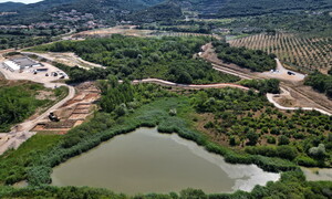 Bacini di San Giovanni: la rinascita verde dell'ex miniera