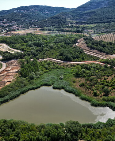 Bacini di San Giovanni: la rivegetazione dell’area ex mineraria
